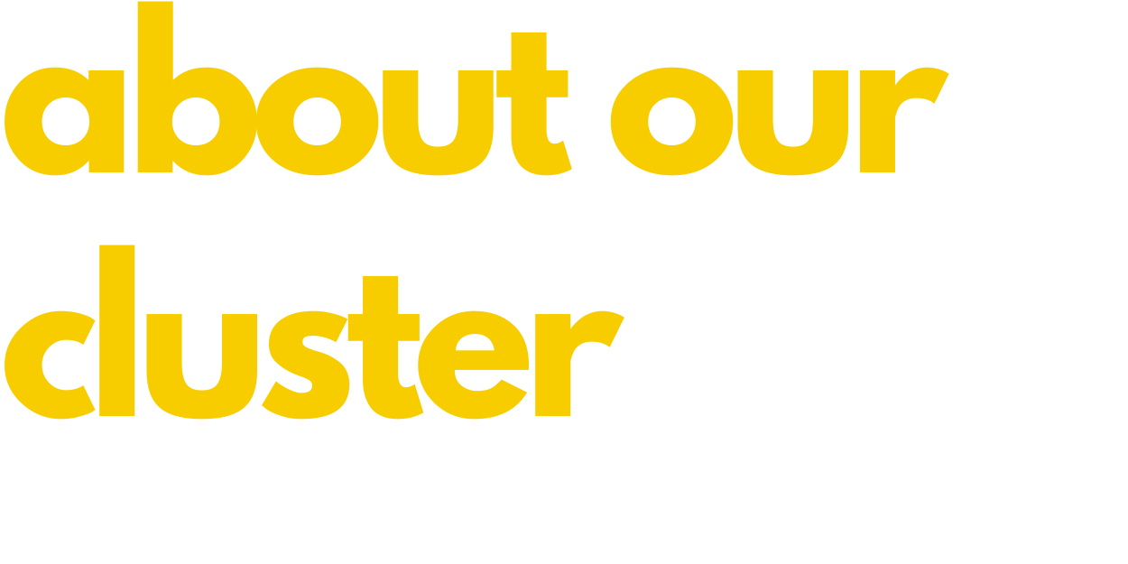 an image with text that says 'about our cluster' in yellow